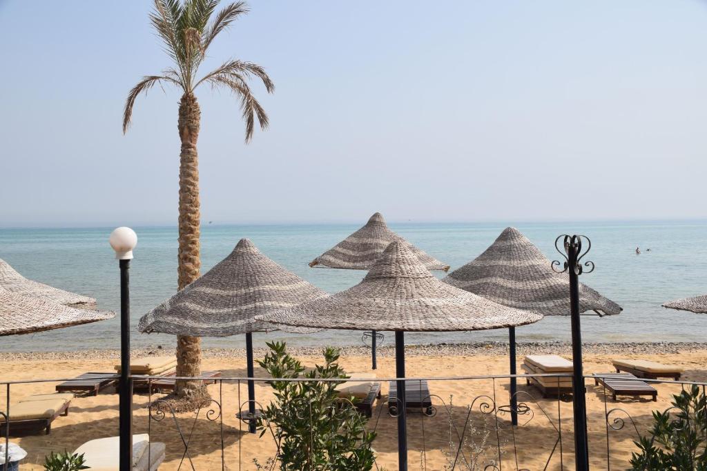 السخنة (10)